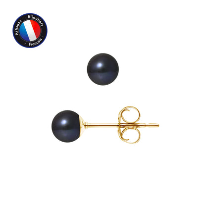 Boucle d'Oreilles- Perles de Culture d'Eau Douce Ronde 5-6 mm Black Tahiti- Bijou Femme- OrJaune